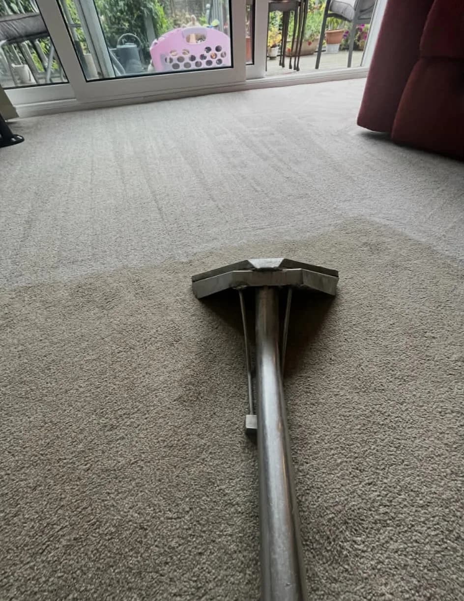 Carpet cleaning before and after - Before clean