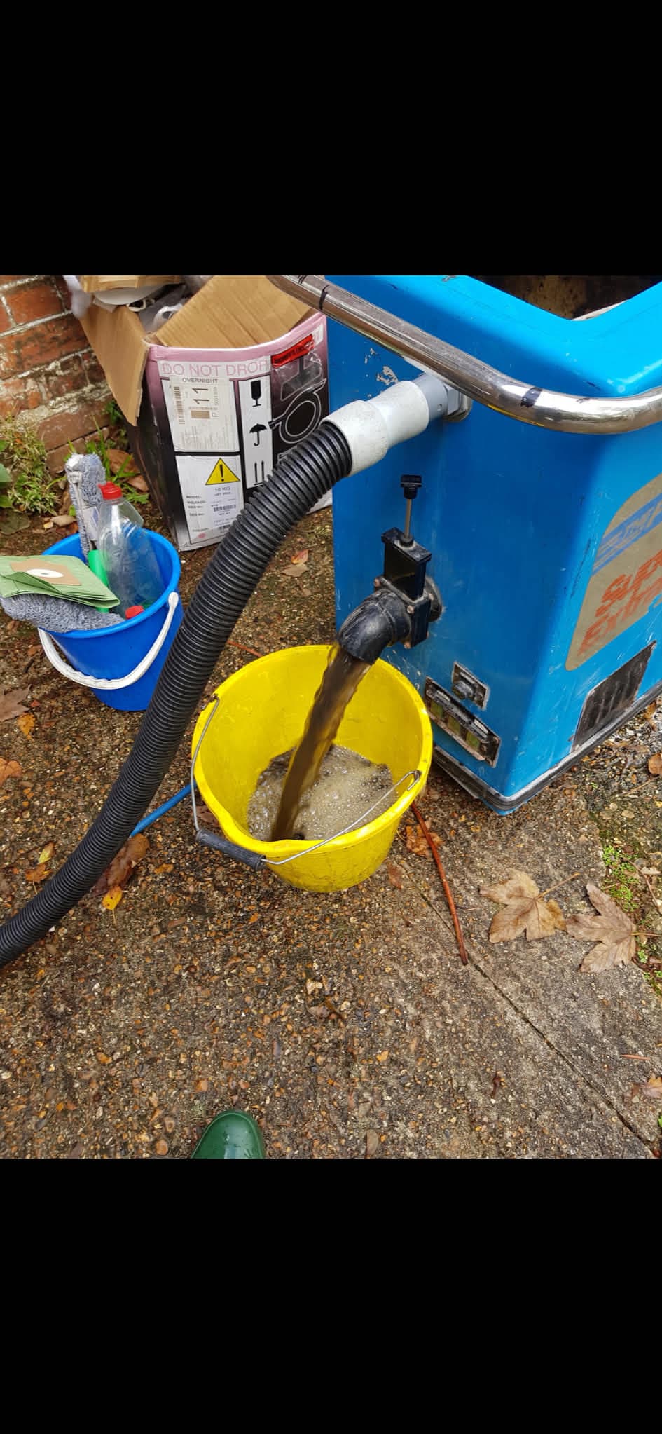 Carpet cleaning results