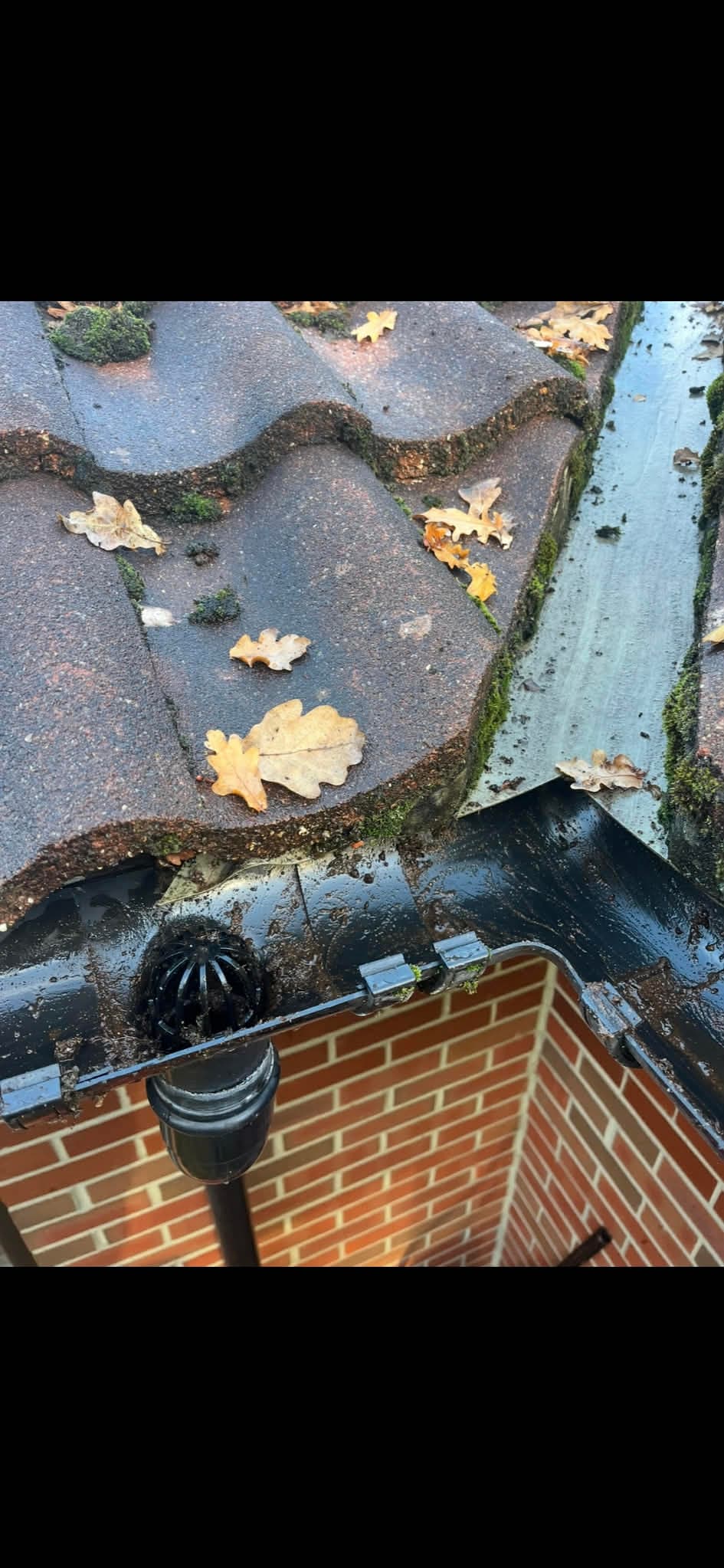 Gutter cleaning before and after - After clean