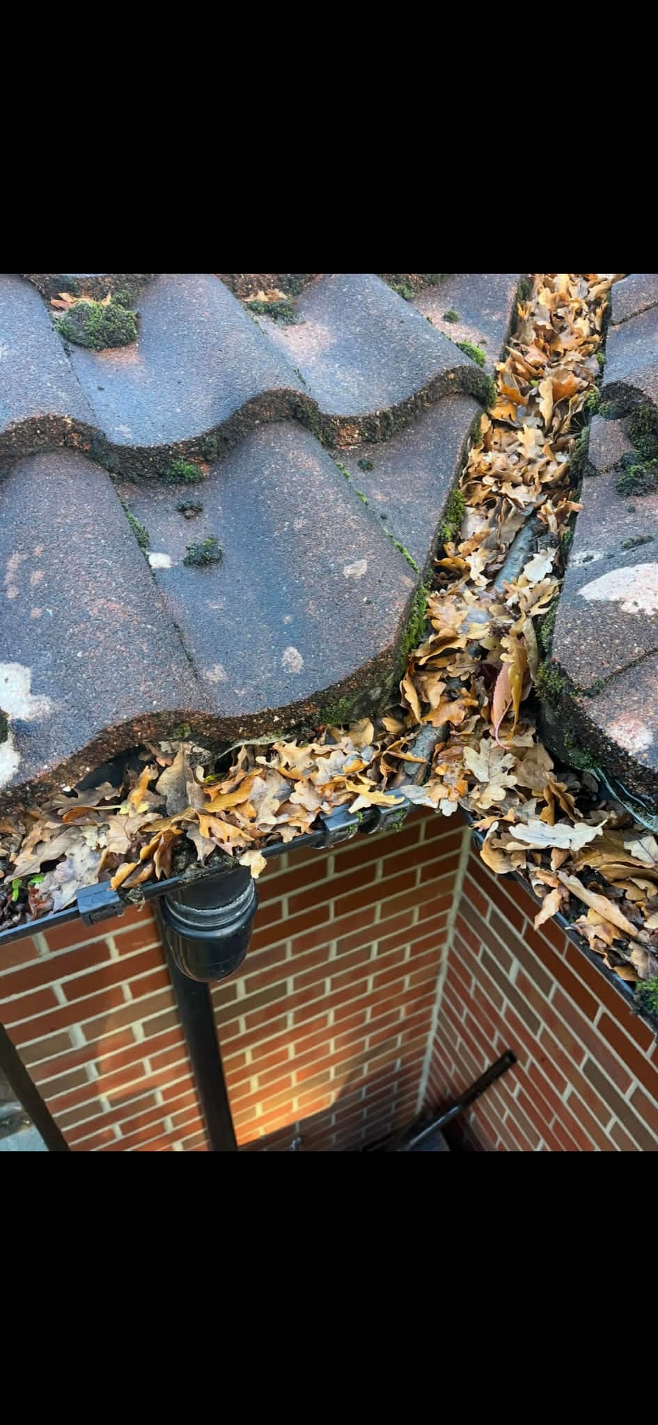 Gutter cleaning before and after - Before clean
