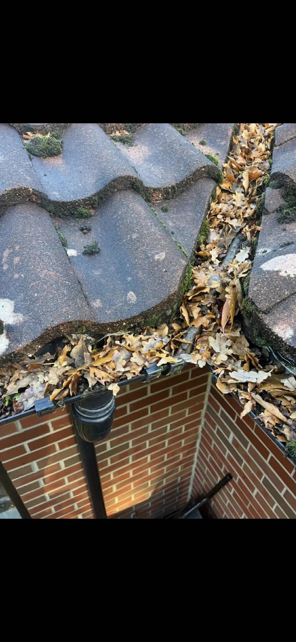 Gutter cleaning before and after - Before clean