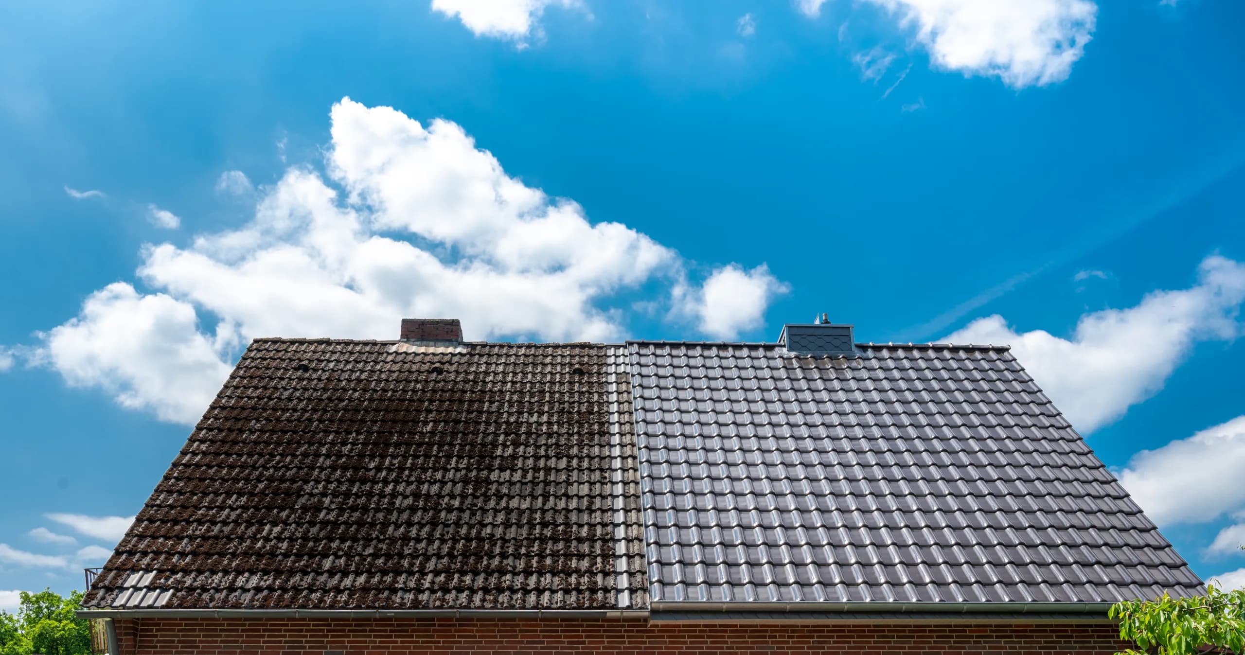 Roof Moss Removal & Soft Washing