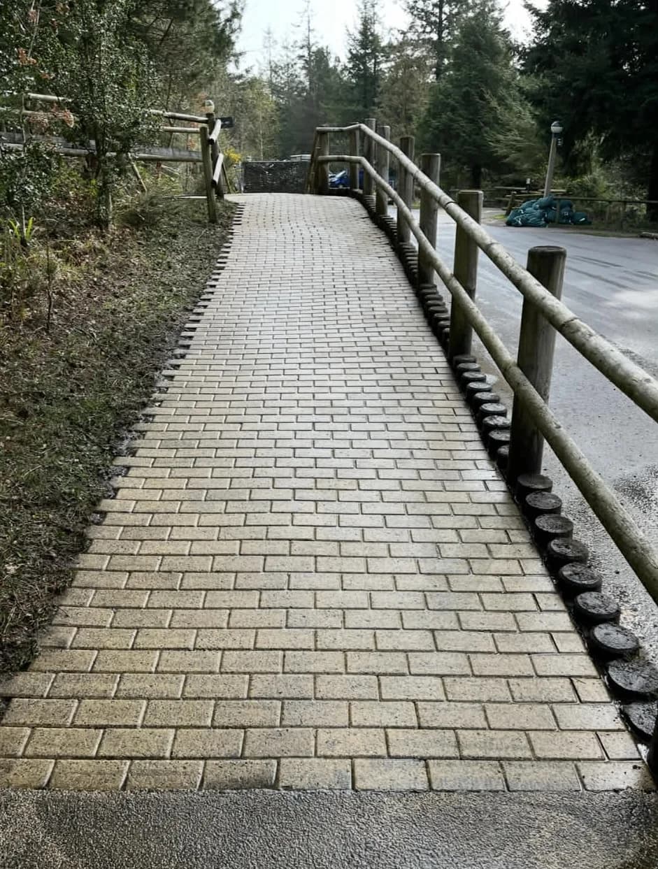 Driveway restoration removing algae and black spot