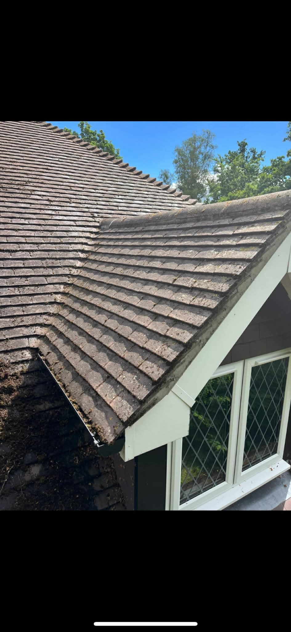 Roof Moss Removal - After clean