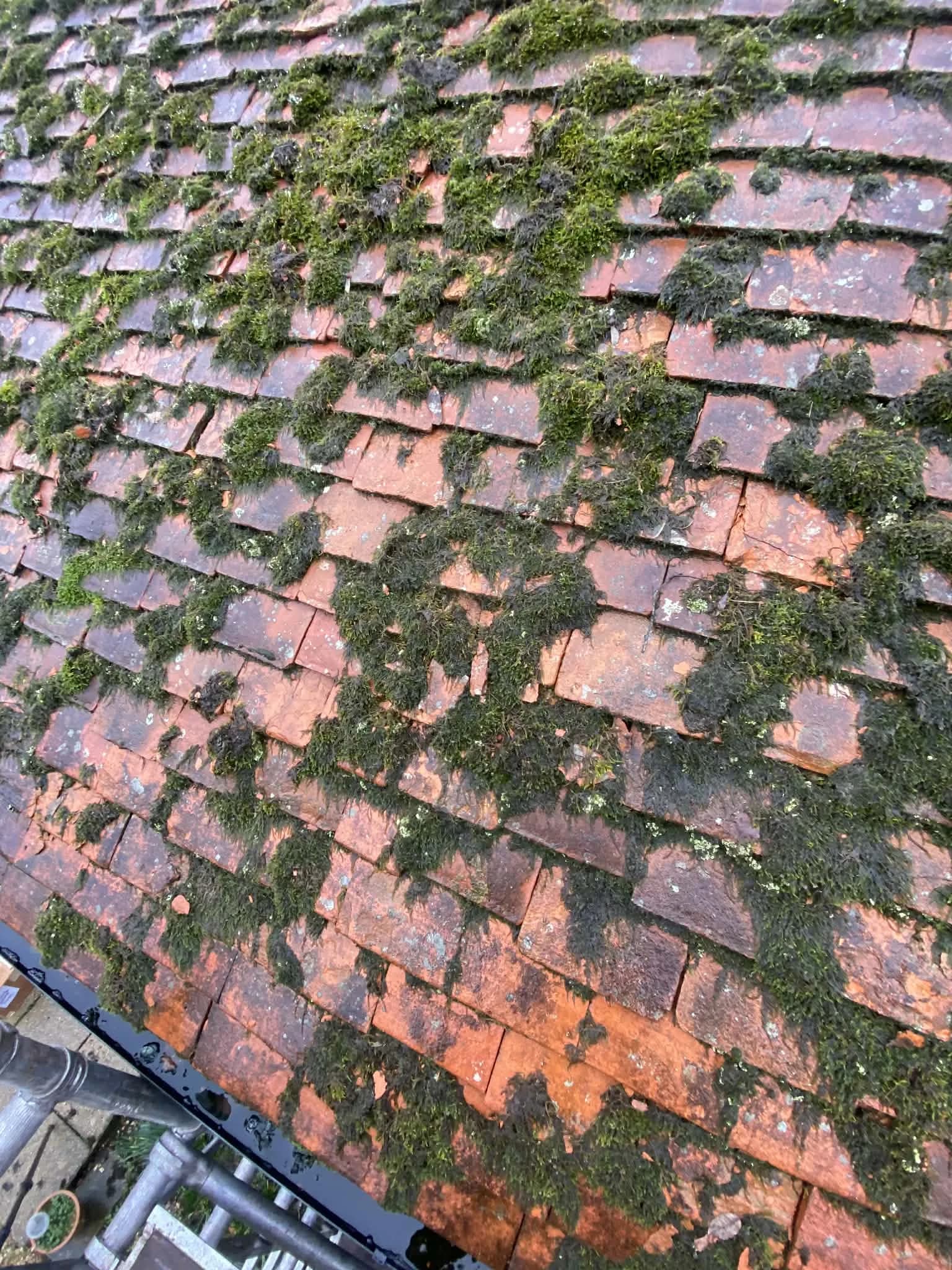 Roof moss removal before and after - Before clean