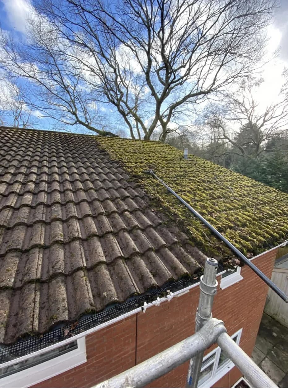 Moss and algae cleared from roof tiles