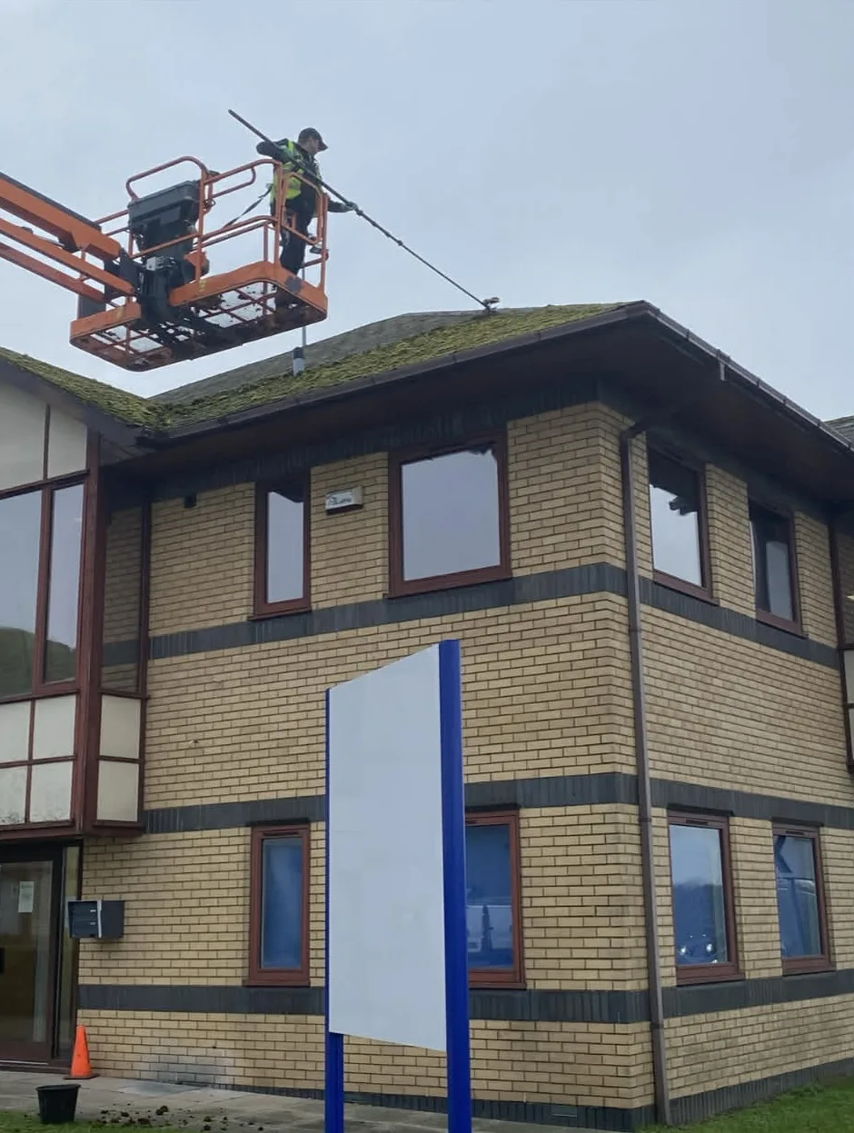 Restored roof after professional moss removal