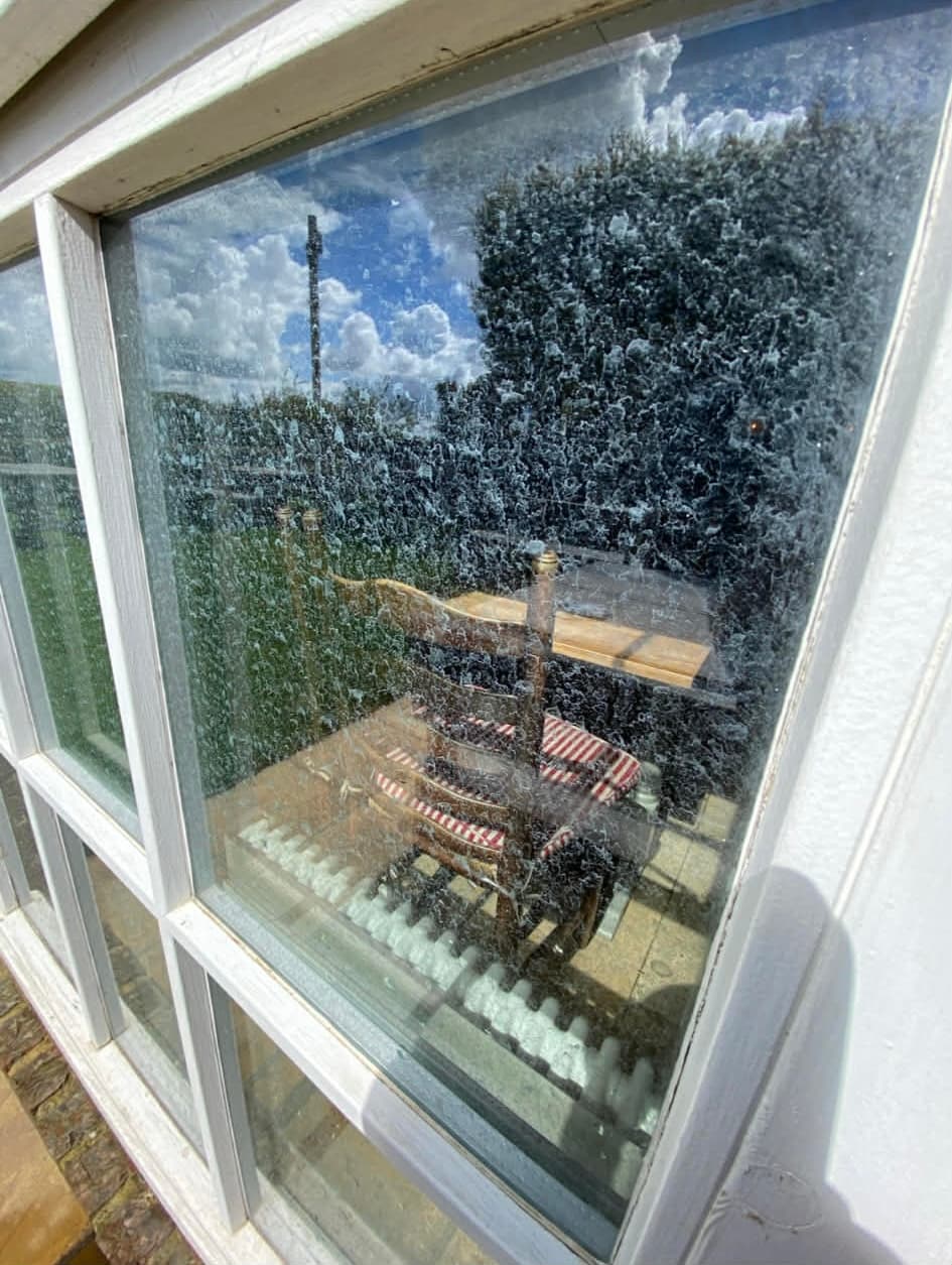 Window cleaning before and after - Before clean