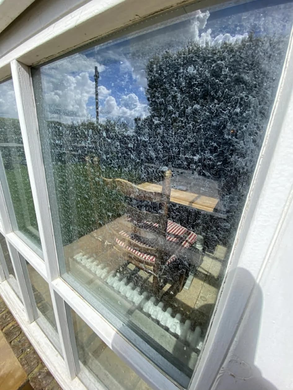 Window cleaning before and after - Before clean